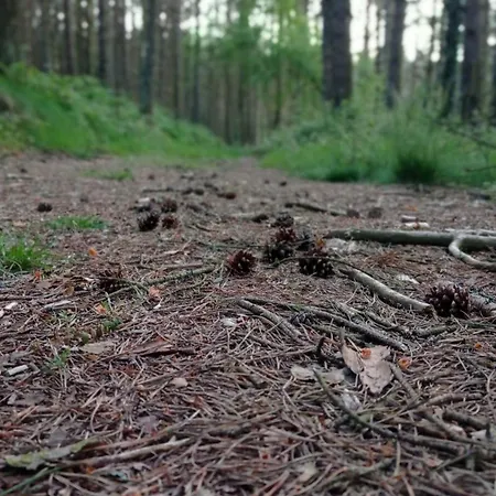Casa El Rey 12 - Buenos Aires Y Figueras Ar-1419-as 公寓 Valbona (Asturias)