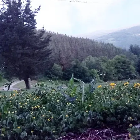 公寓 Casa El Rey 12 - Buenos Aires Y Figueras Ar-1419-as Valbona (Asturias)