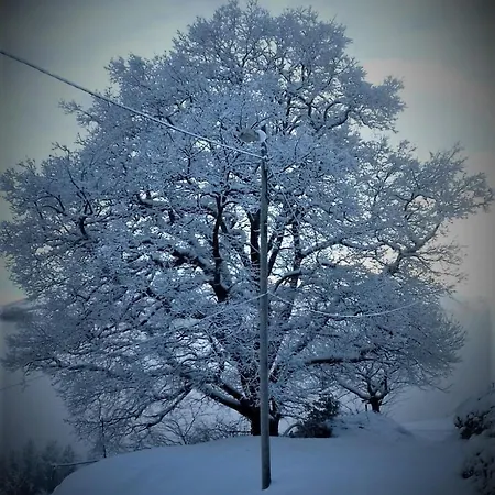 Apartament Casa El Rey 12 - Buenos Aires Y Figueras Ar-1419-as *