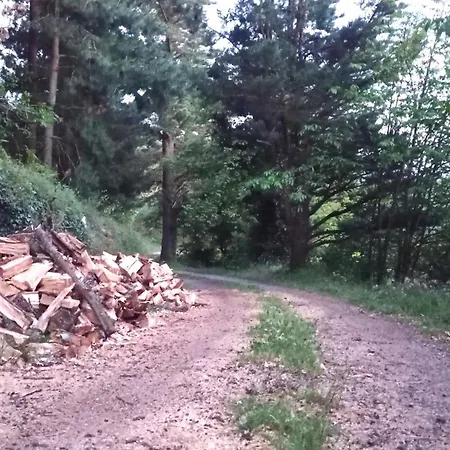 Casa El Rey 12 - Buenos Aires Y Figueras Ar-1419-as 公寓 *