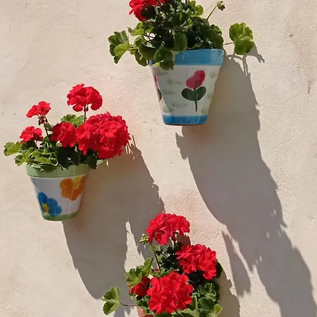 Casa El Rey 12 - Buenos Aires Y Figueras Ar-1419-as 公寓