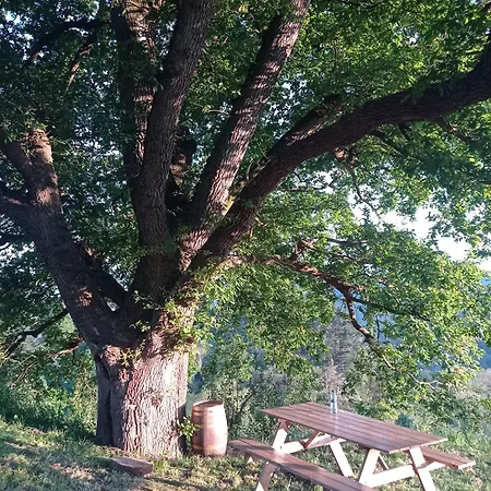 公寓 Casa El Rey 12 - Buenos Aires Y Figueras Ar-1419-as *