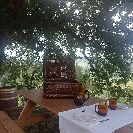 Casa El Rey 12 - Buenos Aires Y Figueras Ar-1419-as Valbona (Asturias)